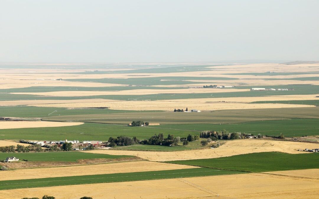 Organic System Plan: what they are, what to include