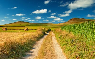 Ryan Albinger: Parallel Production