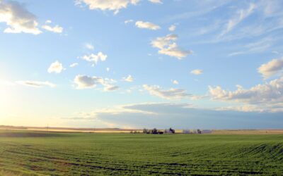 Fraud Plans required under NOP updates