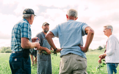 A Passion for Sustainable Farming: Edelman Certified Organic Farm