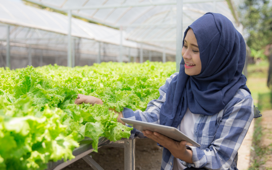 USDA Launches Import Certificate Module in Organic INTEGRITY Database