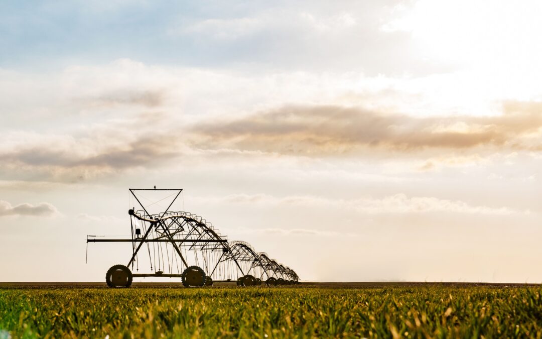 A center pivot in a field.