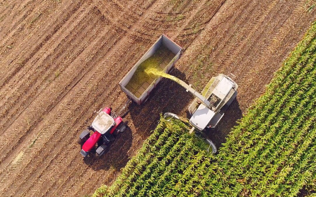 A field is harvested