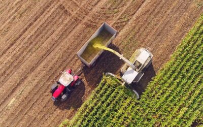 Frequently Asked: What is Strengthening Organic Enforcement (SOE)?