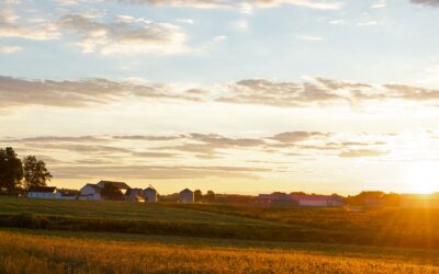 The Organic Certification Process