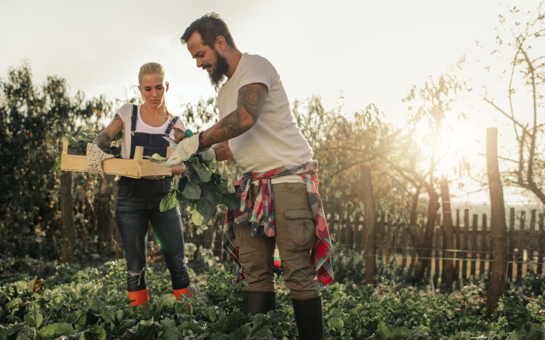 A man and a woman operate an organic farm.