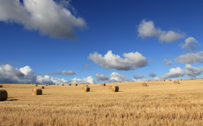 2024 Annual General Membership Meeting