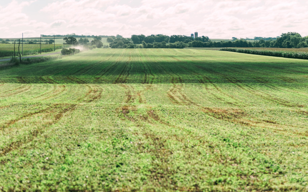 The Communicator: Spring 2024 Edition