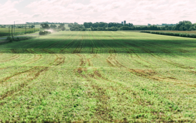 The Communicator: Spring 2024 Edition